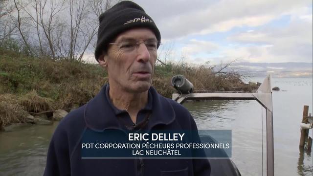 Entretien avec Eric Delley, Président de la corporation des pêcheurs professionnels du lac de Neuchâtel