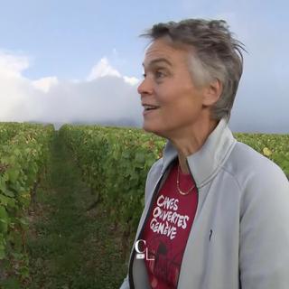 Entretien avec Sophie Dugerdil, viticultrice