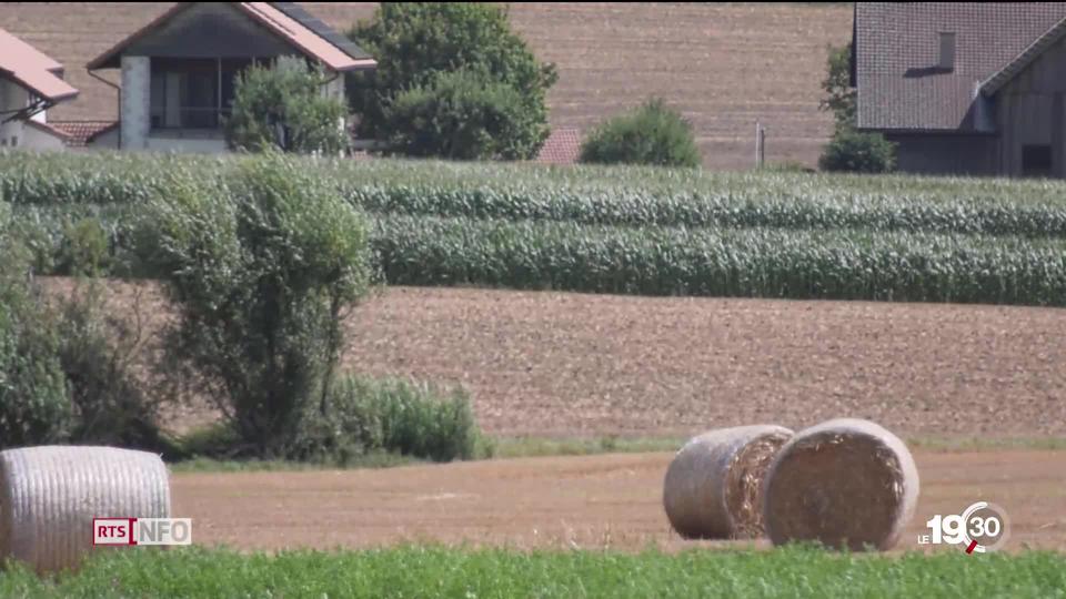 Les agriculteurs ciblés par le rapport de l'Office fédéral de l'environnement.