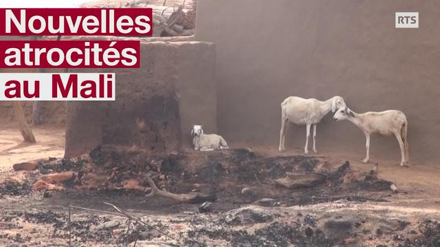 Nouvelles atrocités au Mali