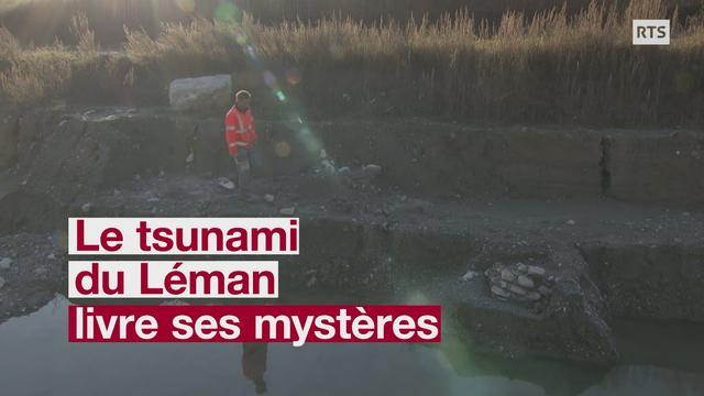 Un vestige archéologique corrobore la date du tsunami sur le Léman, en 563