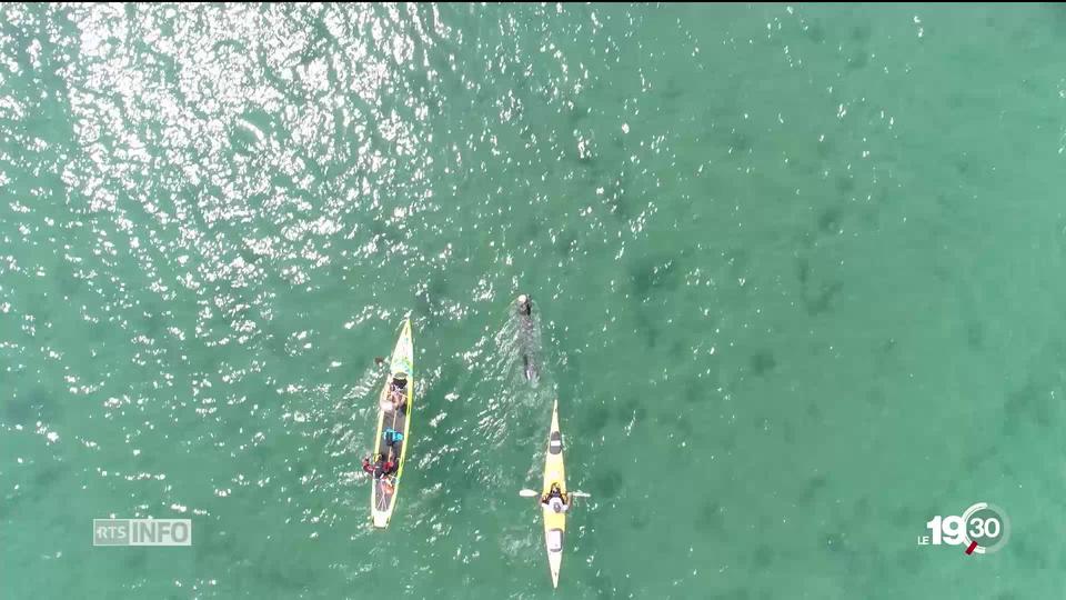 Prouesse sur le Léman: un nageur handicapé a traversé le lac dans sa longueur