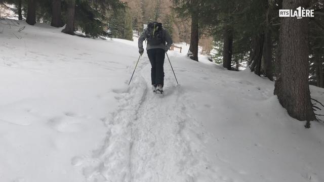 Cerner les dangers de la neige