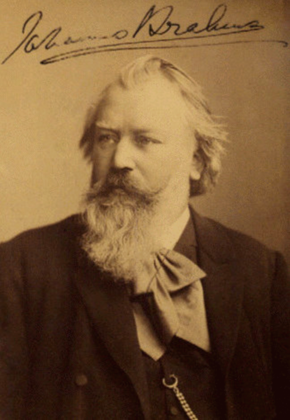 Johannes Brahms, 1889. [wikipedia]