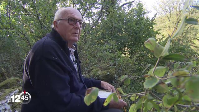 Francis Hallé, défenseur passionné des forêts tropicales, en visite à Neuchâtel.