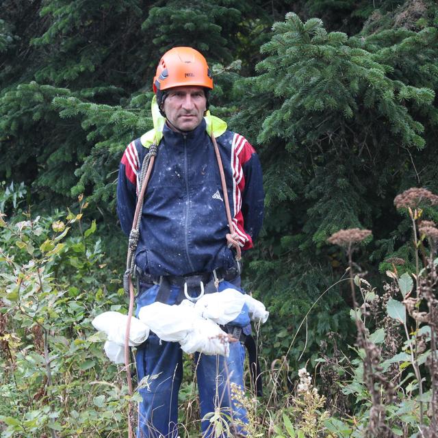 Micha Murusidze cueilleur géorgien de pommes de pin de Nordman depuis 30 ans [RTS - Clémentine Méténier]