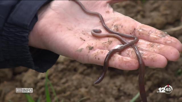 Coup de projecteur sur "Terres vivantes", un programme jurassien qui vise à préserver la qualité des sols.