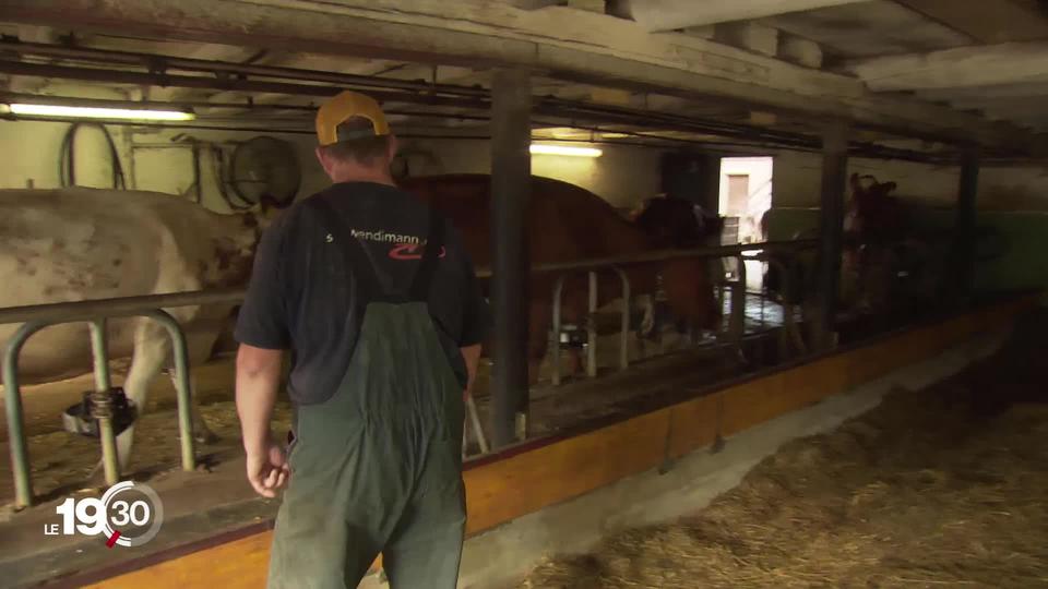 Série "Les Suisses": à la rencontre des citoyens dans leur vie quotidienne. Premier épisode tourné dans l'Emmental (BE).