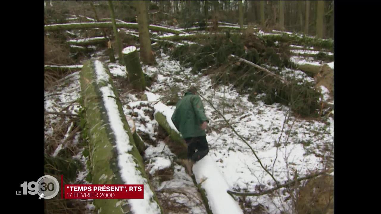 20 ans après l'ouragan Lothar, les forêts suisses se sont régénérées