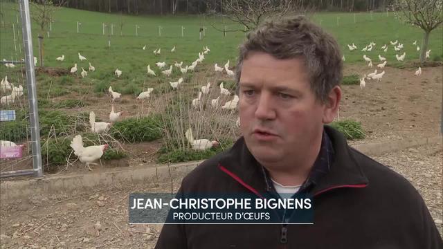 Le producteur Jean-Christophe Bignens détaille les contraintes du label bio pour la production d’œufs.