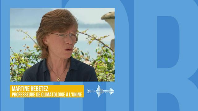 Le réchauffement climatique a renforcé la canicule de 1,5 à 3°C: interview de Martine Rebetez