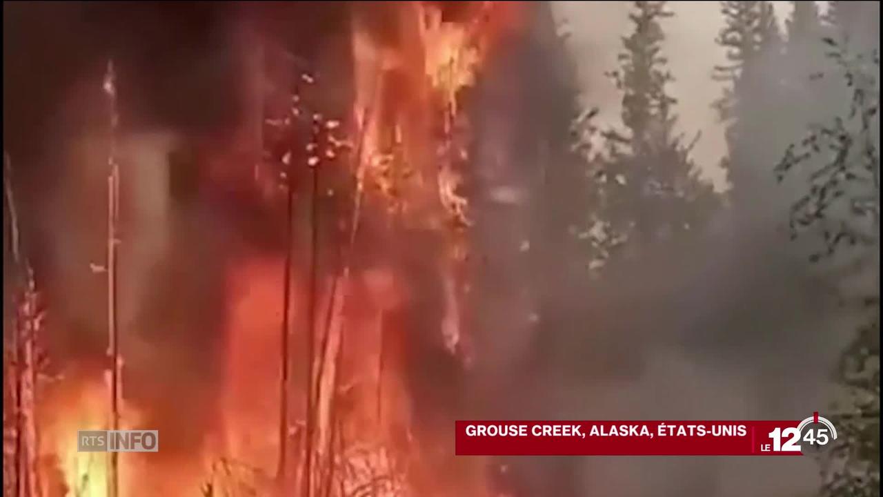 La canicule se déplace vers le Grand Nord. Dans l'Arctique, des centaines de milliers d'hectares de forêt sont en feu.