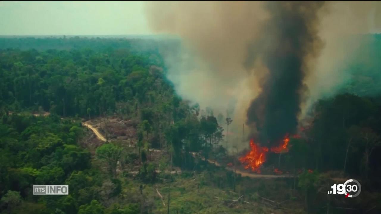 Amazonie: décryptage des informations qui circulent sur les incendies au Brésil.