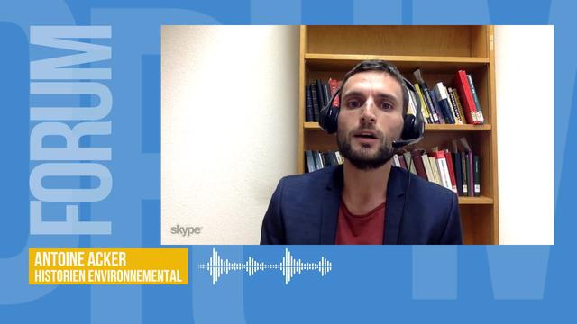 Déforestation record en Amazonie avec dix milles km2 déboisés en un an: interview d’Antoine Acker