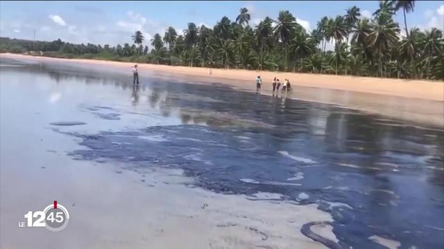 Brésil: près de 200 plages polluées par une marée noire. Les autorités dénoncent un crime environnemental