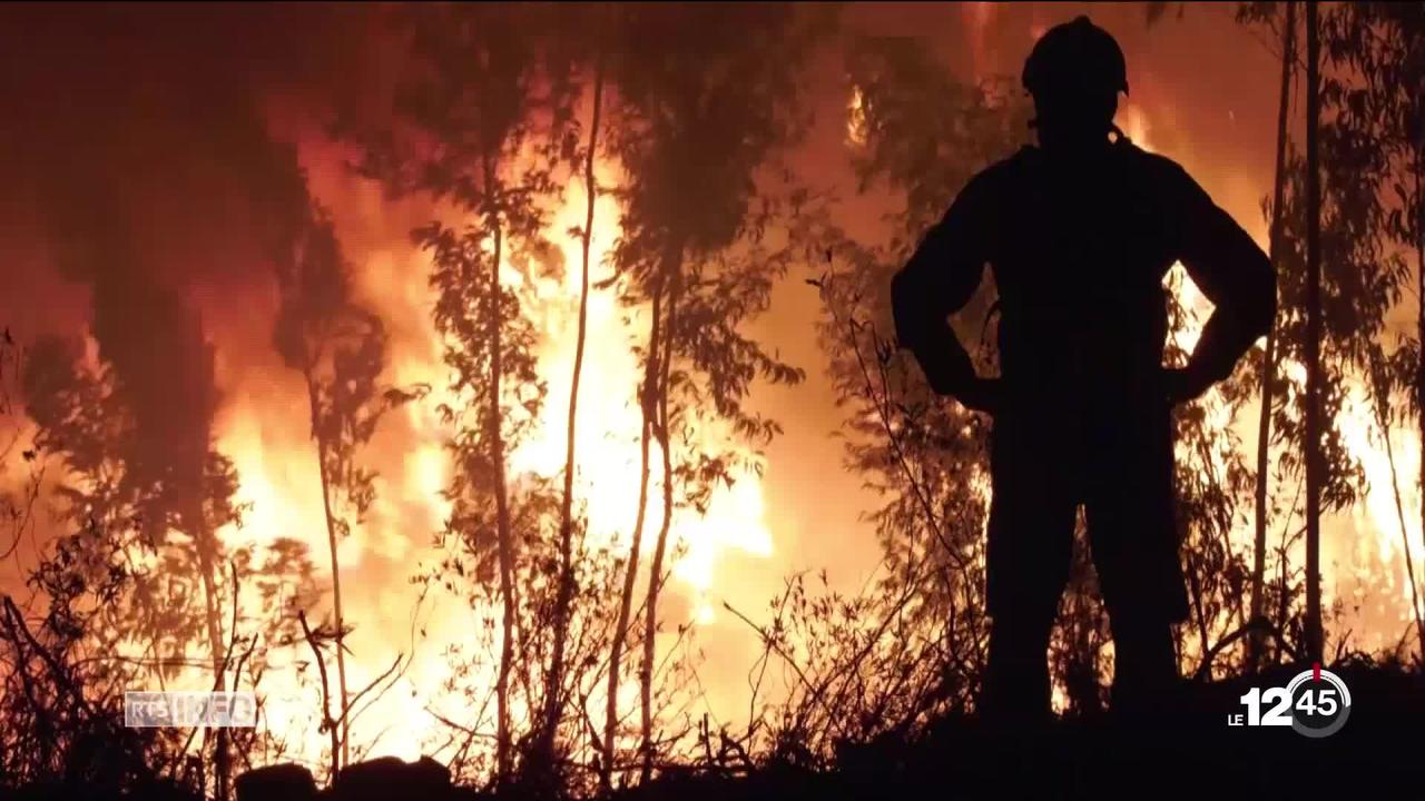 Trois incendies se sont déclenchés dans le centre du Portugal