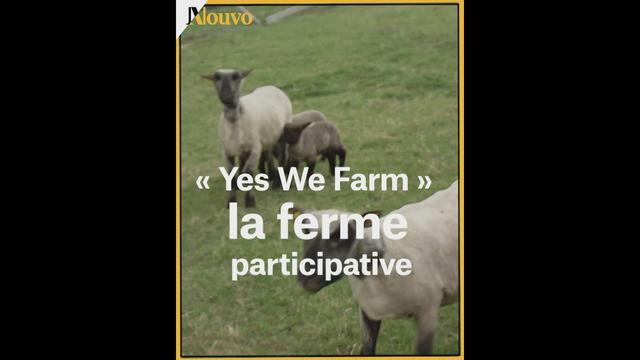 Le crowdfunding de l’agriculture - Les fermes du futur 2-3