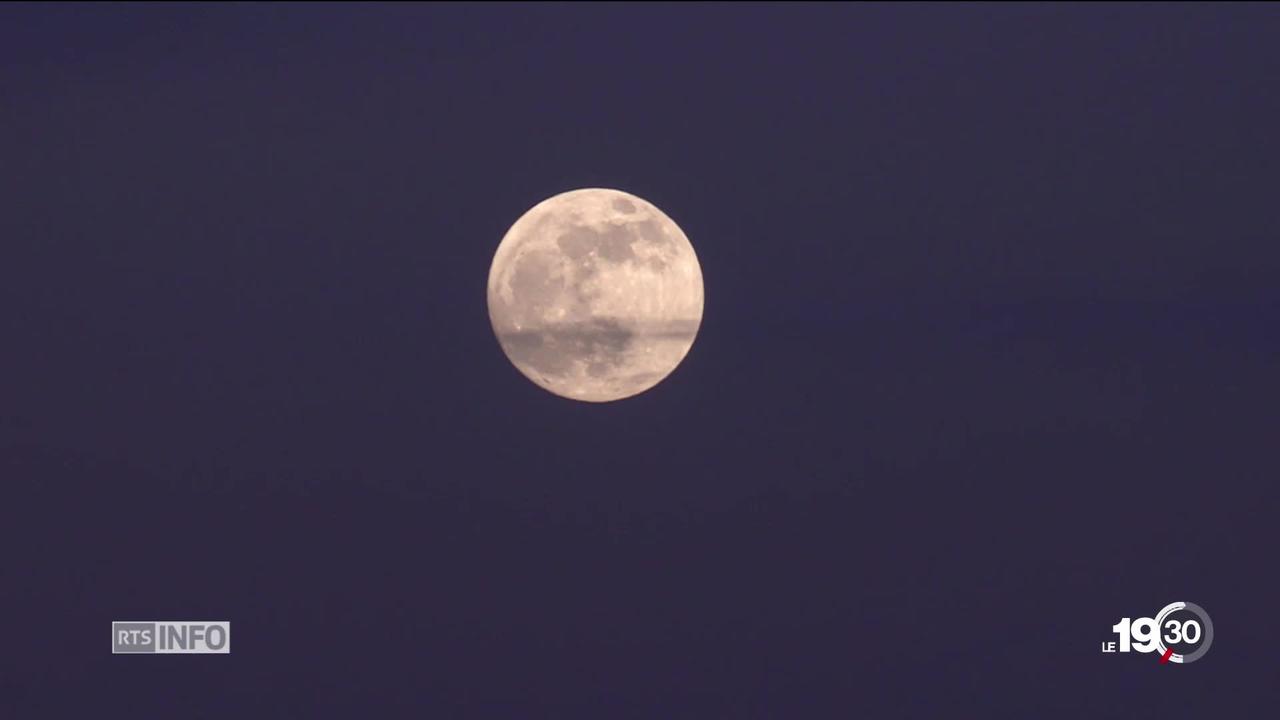 On croit dur comme fer que la pleine lune rend fou: des psychiatres grisonnais réfutent cette thèse grâce à une étude.