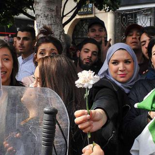 Une fleur entre manifestants et policiers algériens. [Newpress / AP - Fateh Guidoum]