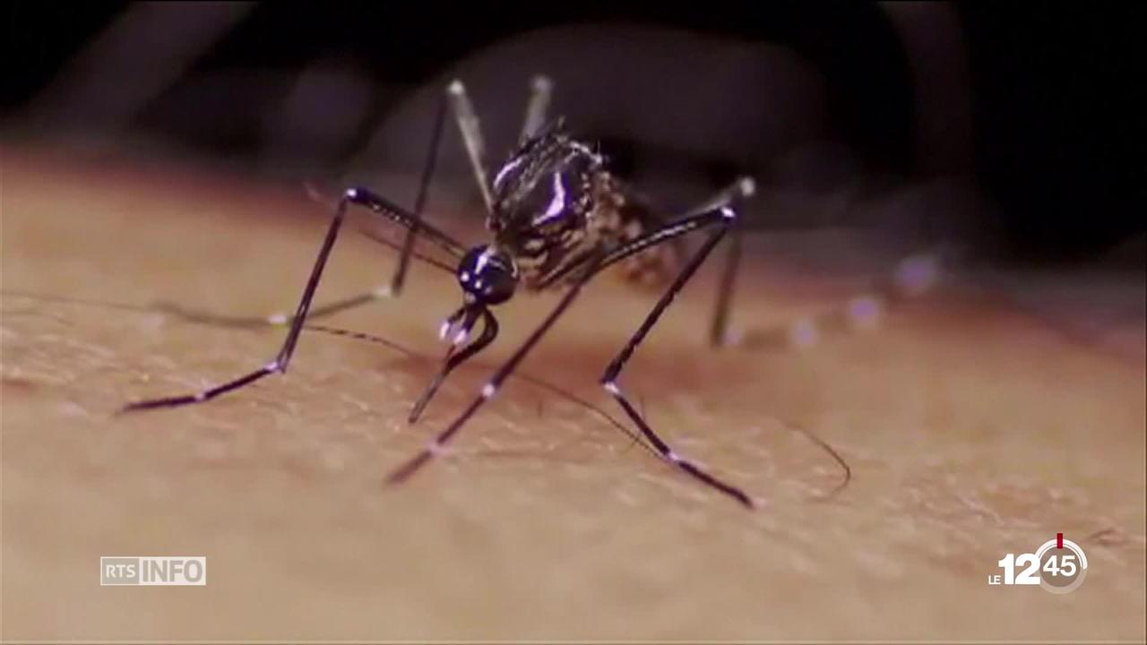 Nouvelle épidémie de dengue au Honduras, où la saison des pluies s'éternise.