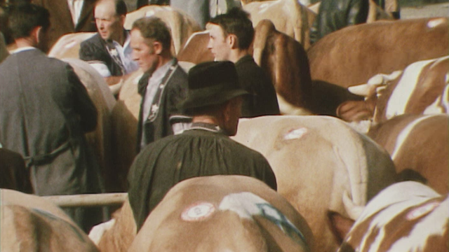 Au Marché-concours de Bulle, en Gruyère, en 1970. [RTS]