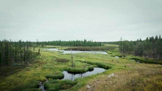 Voyage sur les terres du dégel