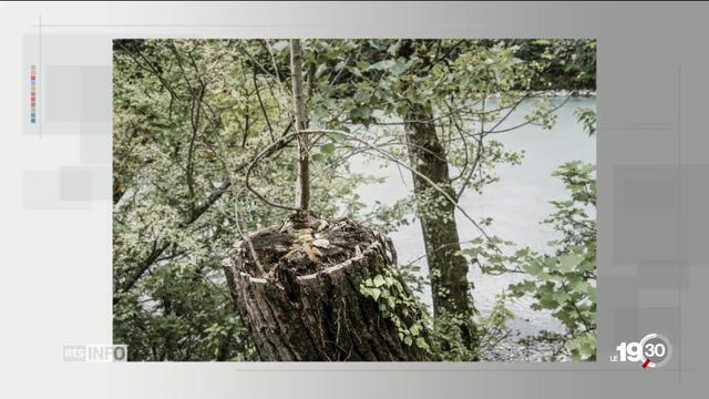 Chronique photo en hommage au photographe genevois Jean Revillard , décédé le 5 janvier dernier à l'âge de 51 ans