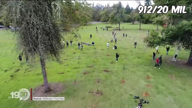 Planter des arbres, un moyen qui a la cote pour lutter contre le réchauffement climatique.