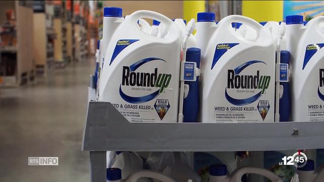 Monsanto est condamné pour un cancer causé par son désherbant, le Roundup