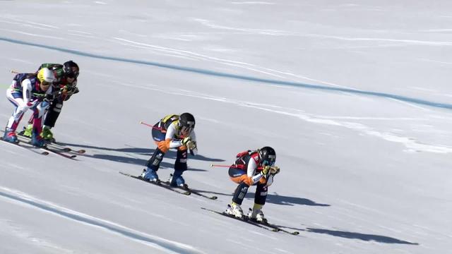 Feldberg (GER), Skicross, finale dames: doublé pour les Suédoises