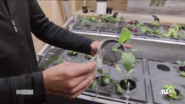 À l'occasion du cinquantenaire du premier pas sur la lune, des étudiants ingénieurs présentent des projets scientifiques.