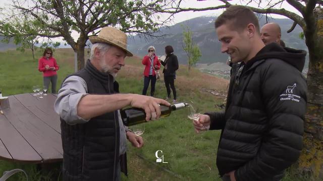 Oenotourisme: au coeur du vignoble, déguster et comprendre le vin.