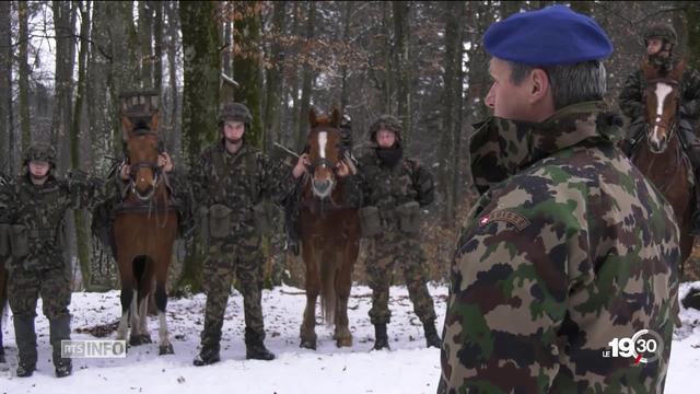 Les chevaux de l'armée ont été jusqu'à 20 000. Moins nombreux aujourd'hui, ils sont sélectionnés avec le plus grand soin.