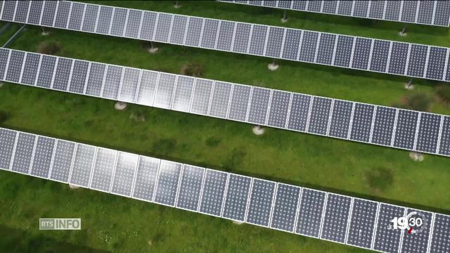 Des projets de parcs solaires font entrer l'Allemagne dans l'ère du photovoltaïque rentable sans subventions.