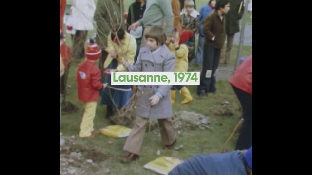 Des enfants plantent des arbres au nord de Lausanne (1974)