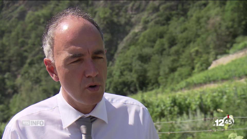 Le Valais veut agir contre la pollution des eaux par les produits phytosanitaires. Les explications de Christophe Darbellay.