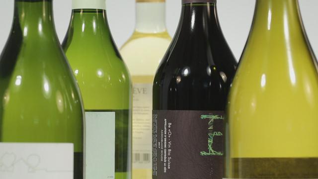 La tendance des vins bio, biodynamiques et naturels