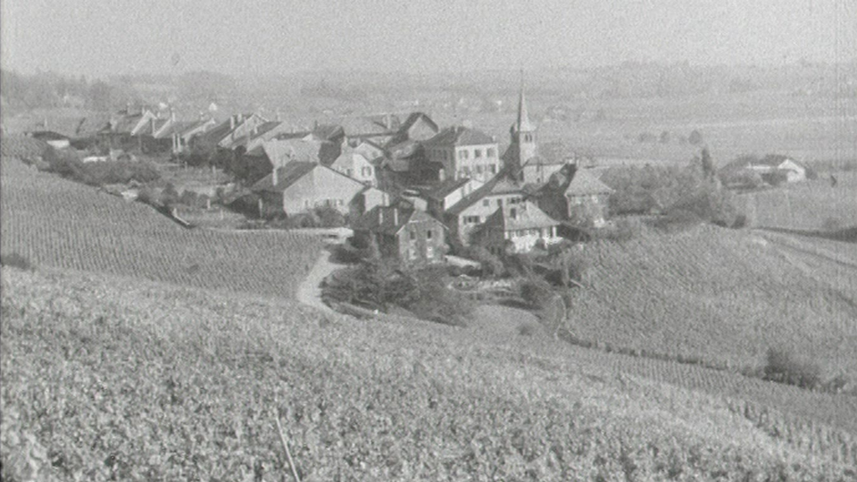 La route du vignoble