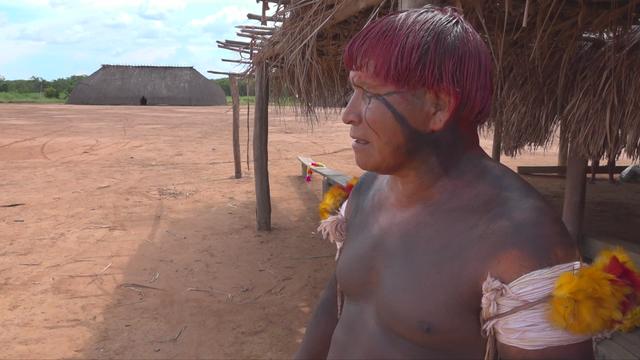 Menaces sur l’Amazonie