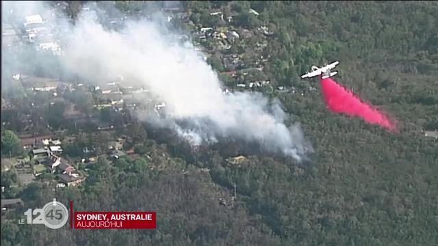 Des milliers de pompiers sont déployés dans l'est de l'Australie pour faire face aux feux qui ravagent la région