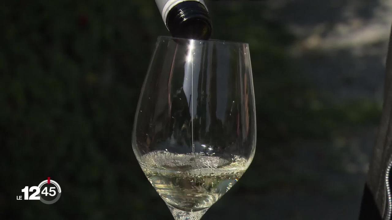 Les vins valaisans intègrent la Marque Valais.