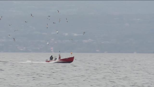 Pollution à la benzidine