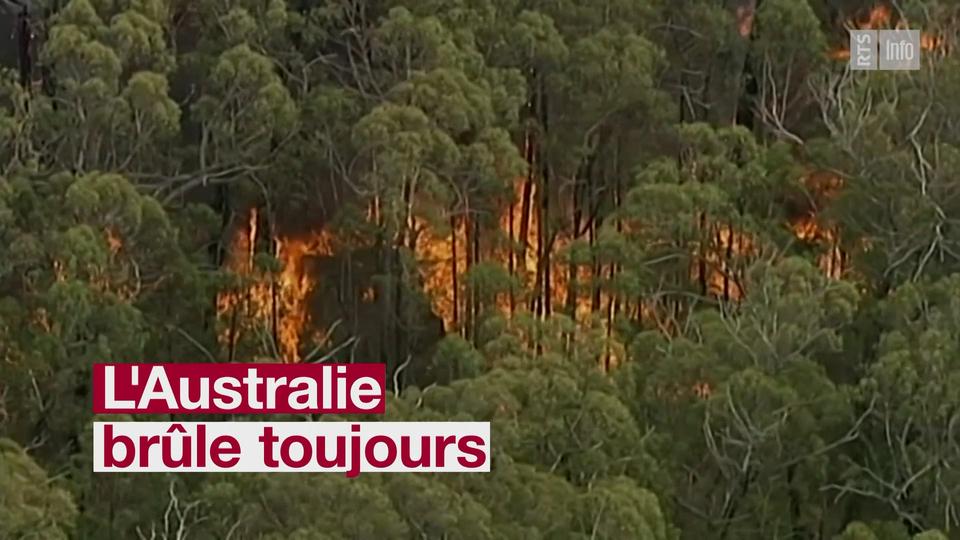 INCENDIES AUSTRALIE