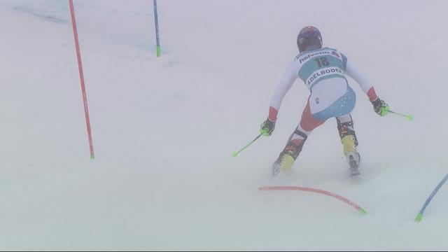 Adelboden (SUI), slalom messieurs 2e manche: Luca Aerni (SUI)