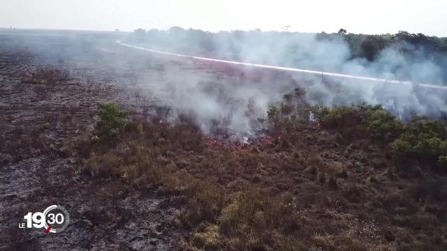 L'Amazonie est toujours en proie aux flammes. Les pompiers recherchent notamment les responsables des feux. Notre reportage.