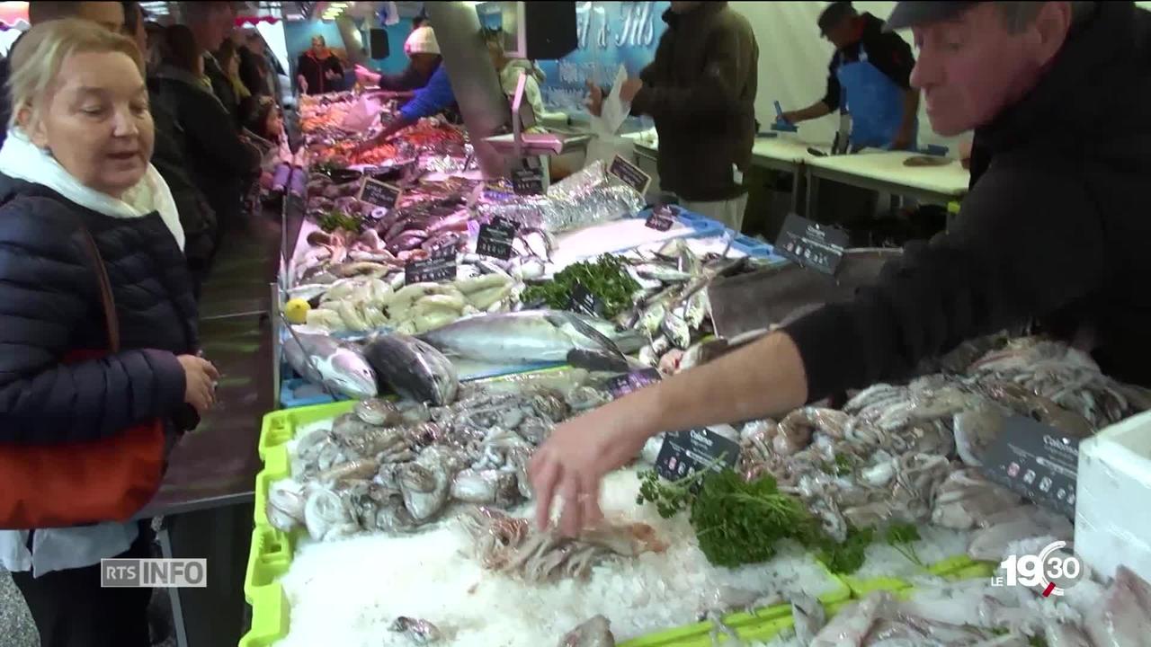 Les antispécistes s'attaquent à la pêche et au développement de l'aquaculture en Suisse