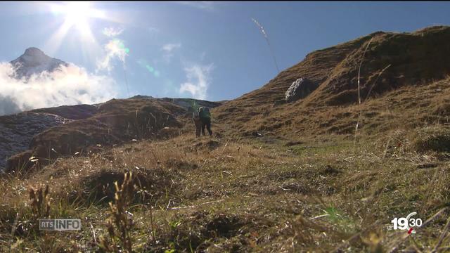 Une révolution nordique frappe le tourisme estival et profite à la Suisse.