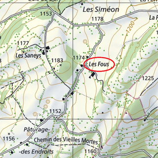 Les Fous [DR - Office fédéral de topographie swisstopo]