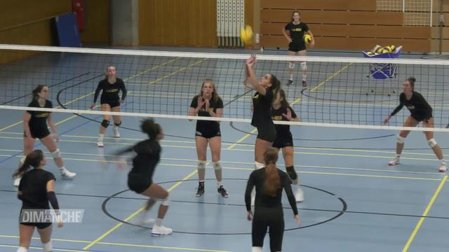 Volley: Genève Volley féminin recrute