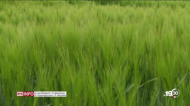 Les Suisses ont consommé la totalité des ressources naturelles dont ils disposent pour 2019. Dès demain, ils vivront à crédit.